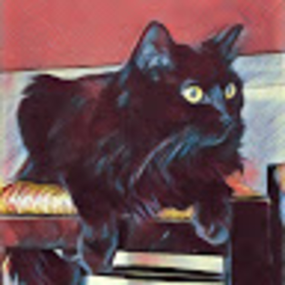 Meet your Posher, Catalina
